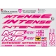 Sticker cadre Intense M6 FRO Logo Taille XXl