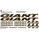 Sticker Kit cadre vélo XXL Giant