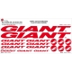Sticker Kit cadre vélo XXL Giant