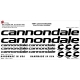 Sticker Kit cadre vélo XXL Cannondale