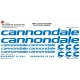 Sticker Kit cadre vélo XXL Cannondale