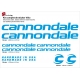 Sticker cadre vélo Kit Cannondale