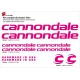 Sticker cadre vélo Kit Cannondale