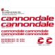 Sticker cadre vélo Kit Cannondale