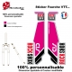 Sticker fourche Sid Rock Shox Forks Rose 2013